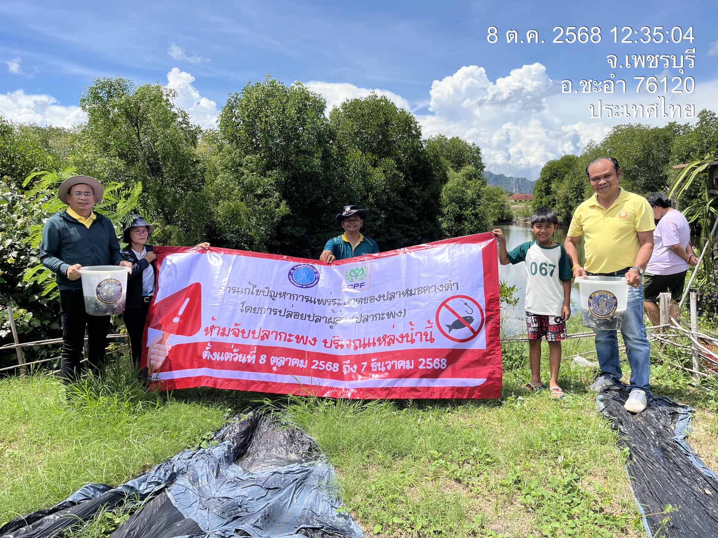 การแก้ไขปัญหาการแพร่ระบาดของปลาหมอคางดำ โดยการปล่อยปลาผู้ล่า (ปลากะพง) ในแหล่งน้ำธรรมชาติที่พบการแพร่ระบาดของปลาหมอคางดำ
