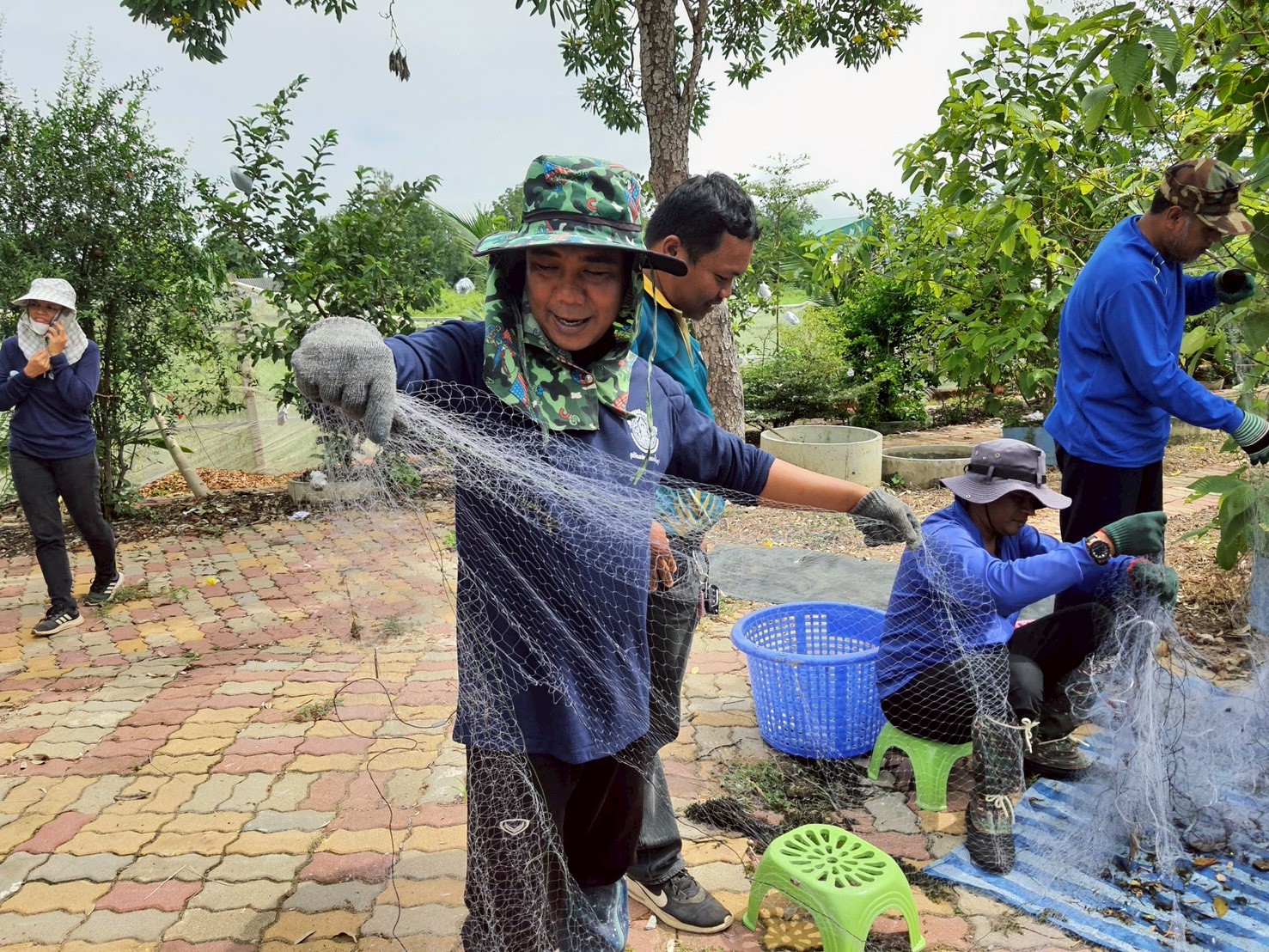 จัดกิจกรรมลงแขกลงคลองกำจัดปลาหมอคางดำในแหล่งน้ำพื้นที่จังหวัดเพชรบุรี