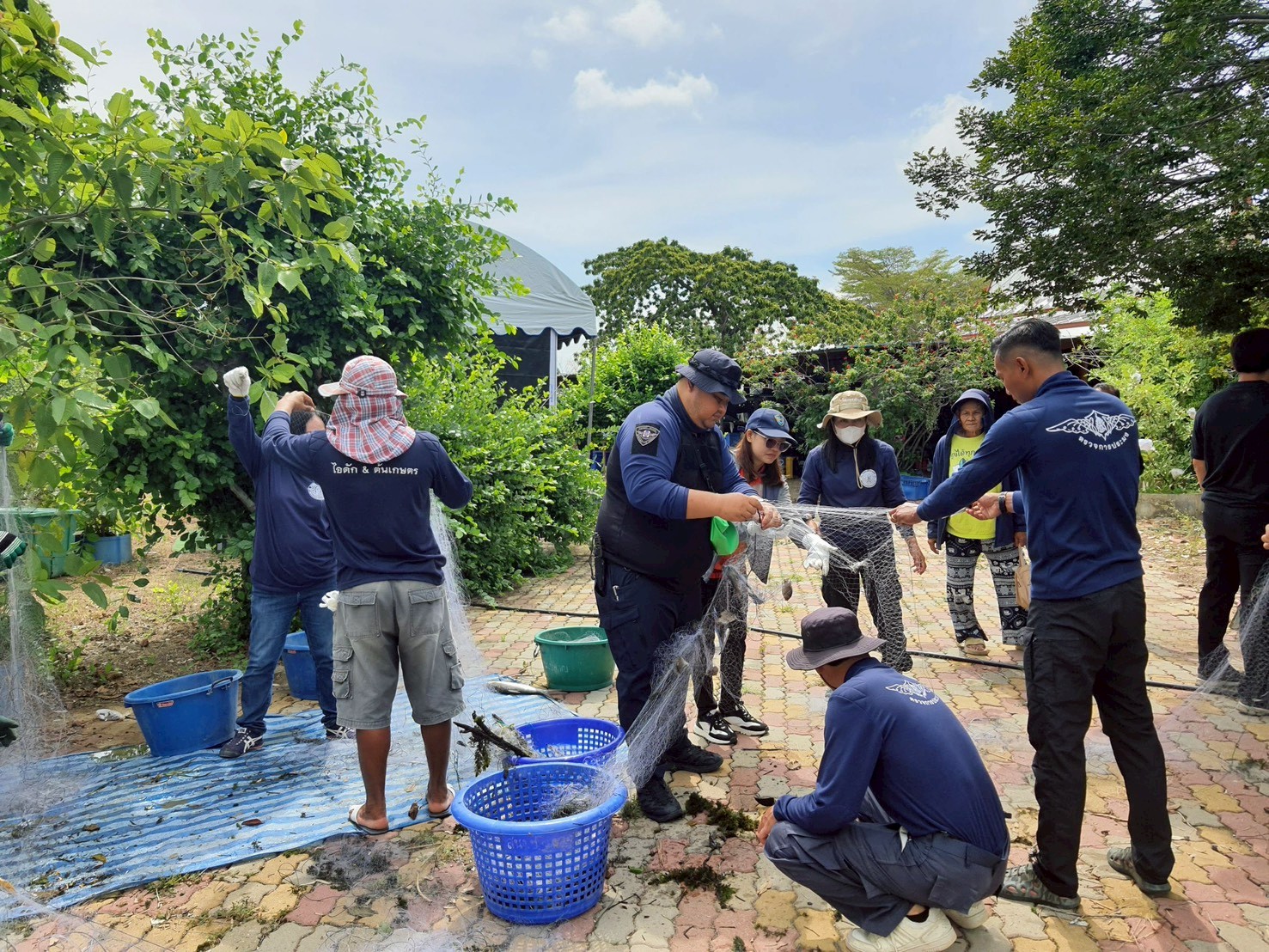 จัดกิจกรรมลงแขกลงคลองกำจัดปลาหมอคางดำในแหล่งน้ำพื้นที่จังหวัดเพชรบุรี..คลิก