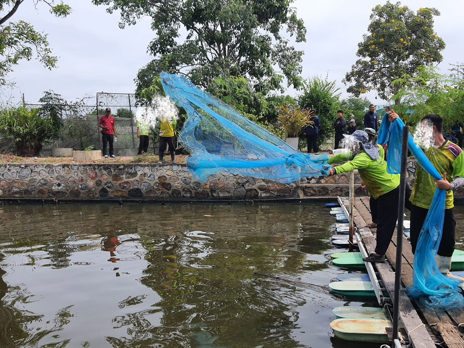 จัดกิจกรรมลงแขกลงคลองกำจัดปลาหมอคางดำในแหล่งน้ำพื้นที่จังหวัดเพชรบุรี
