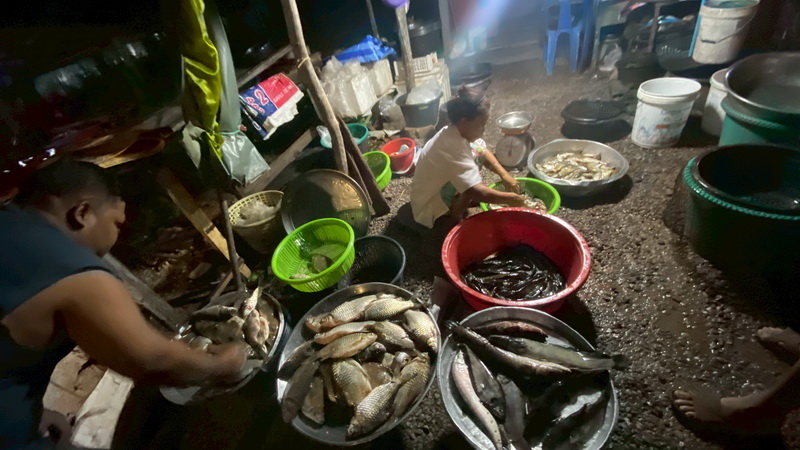 ดำเนินการสำรวจตัวอย่างปลาน้ำจืดมีไข่ ในพื้นที่ทะเลน้อยจังหวัดพัทลุง..คลิก