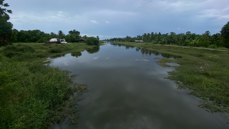 สำรวจการระบาดของปลาหมอคางดำ ในพื้นที่จังหวัดสงขลา