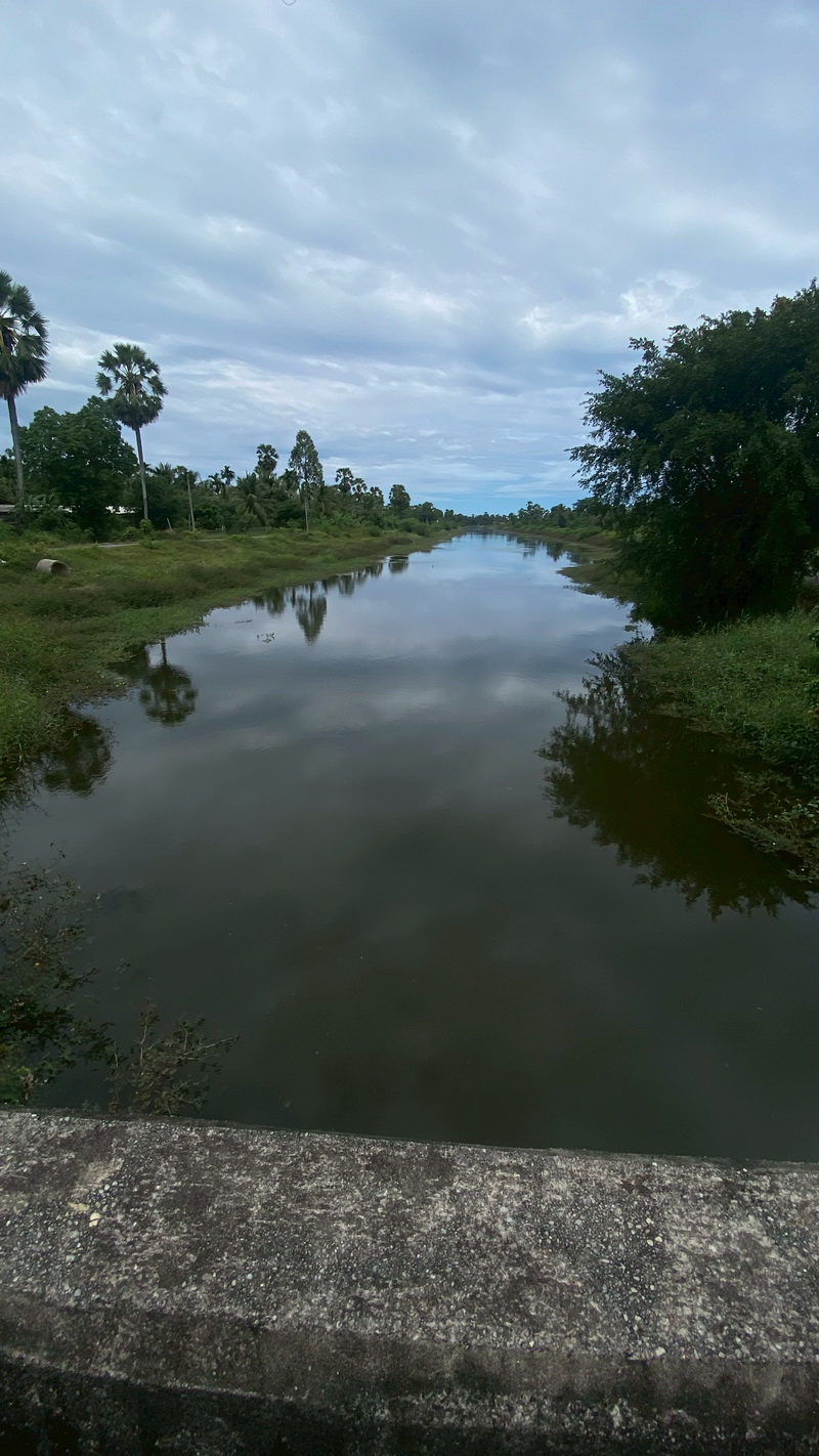 สำรวจการระบาดของปลาหมอคางดำ ในพื้นที่จังหวัดสงขลา