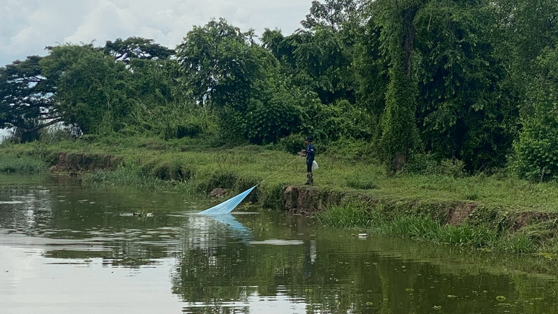 สำรวจการระบาดของปลาหมอคางดำ ในพื้นที่จังหวัดพัทลุง และจังหวัดสงขลา