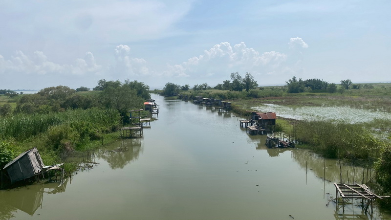 สำรวจการระบาดของปลาหมอคางดำ ในพื้นที่จังหวัดพัทลุง และจังหวัดสงขลา