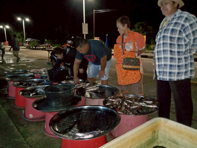 ดำเนินการสำรวจตัวอย่างปลาน้ำจืดมีไข่ ในพื้นที่ทะเลน้อยจังหวัดพัทลุง