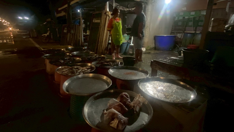 ดำเนินการสำรวจตัวอย่างปลาน้ำจืดมีไข่ ในพื้นที่ทะเลน้อยจังหวัดพัทลุง