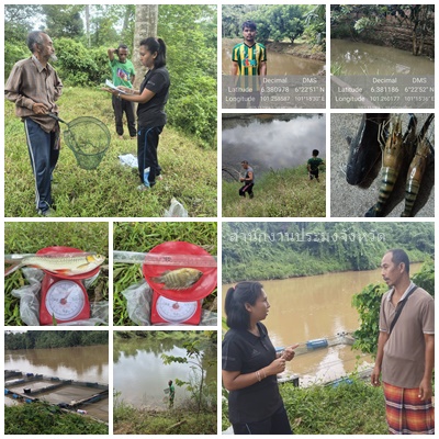 ผลการปฏิบัติงานประจำวันพุธที่ 19 พฤศจิกายน 2568