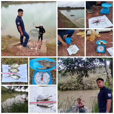 ผลการปฏิบัติงานประจำวันพฤหัสบดีที่ 20 พฤศจิกายน 2568