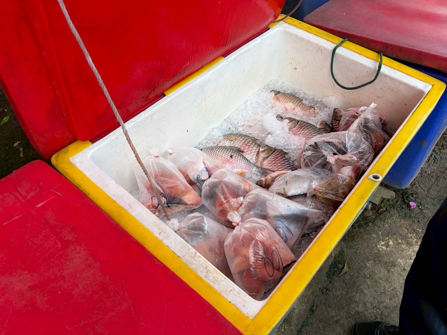 “ประมงศรีสะเกษ ลงพื้นที่ติดตาม เฝ้าระวัง สถานการณ์น้ำ ณ เขื่อนราษีไศล”