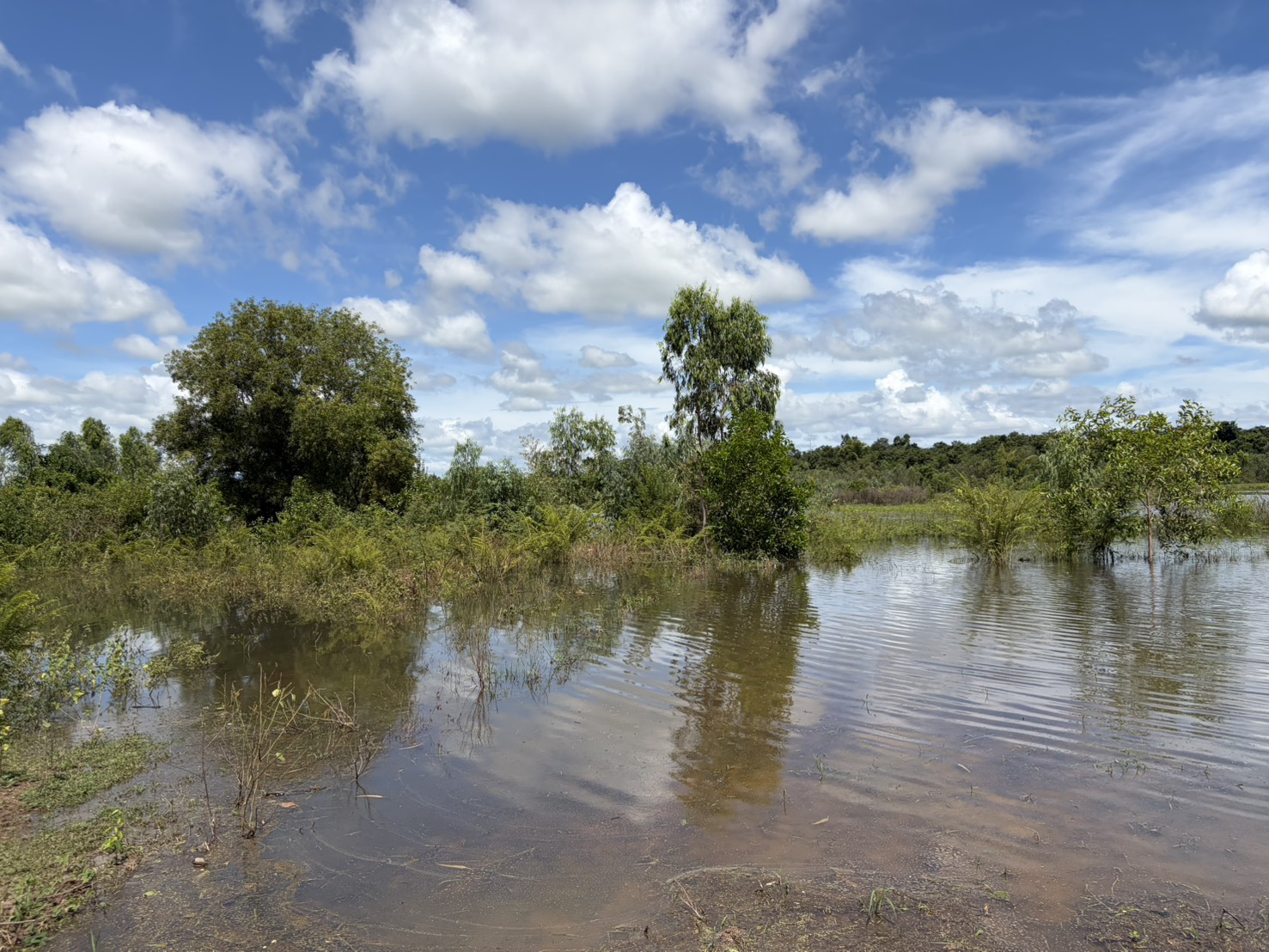 “ประมงศรีสะเกษ สำรวจพื้นที่ประสบจากอุทกภัย ด้านประมง”