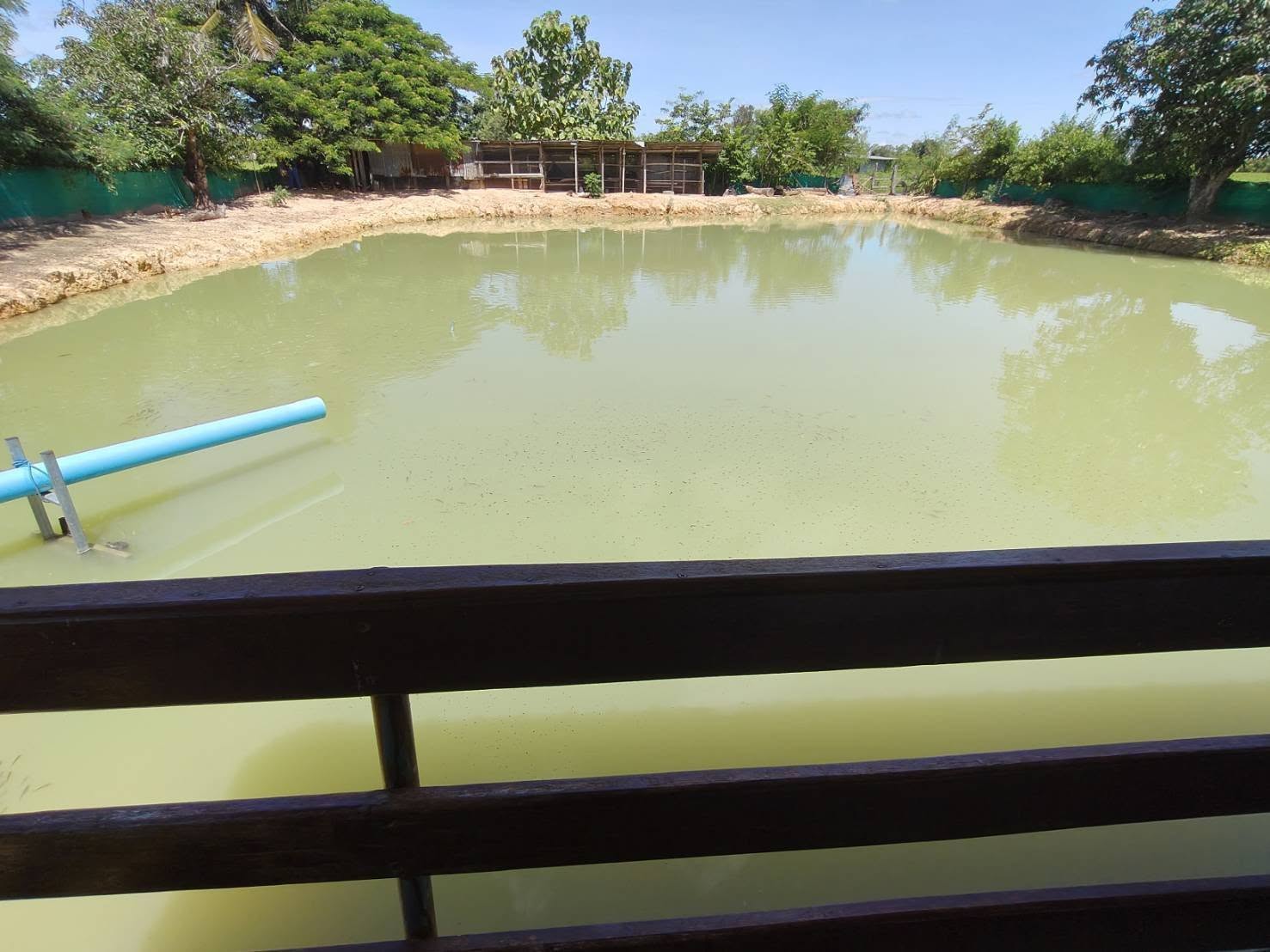 ติดตามผลการดำเนินกิจกรรมของศูนย์เครือข่ายยกระดับด้านประมงปี 2568