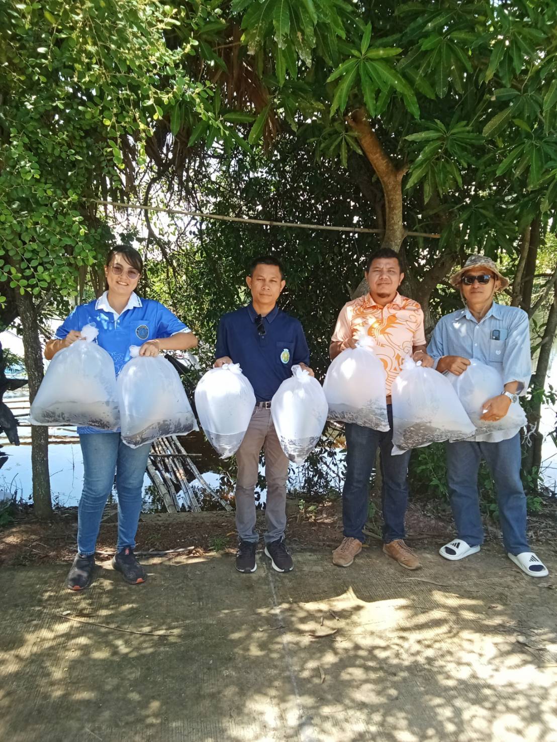 ปล่อยปลานิลแปลงเพศลงกระชังเพื่ออนุบาล ณ หนองป้อมปราบ