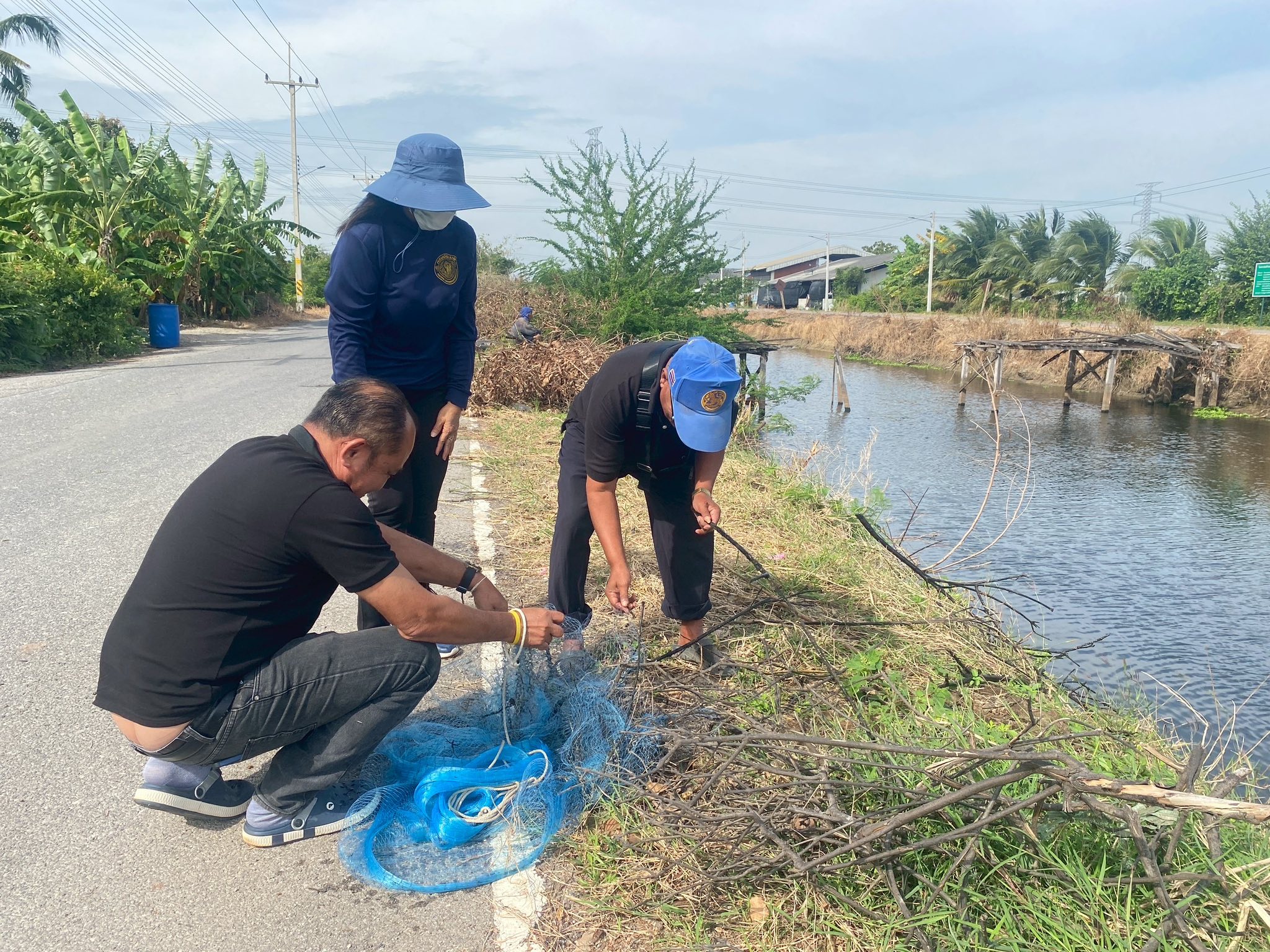 ร่วมทำกิจกรรมลงแขกลงคลองกำจัดปลาหมอคางดำ คลองเตาอิฐ อำเภอดำเนินสะดวก 