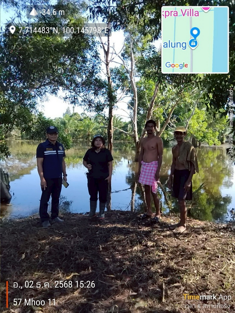 รับแจ้งการระบาดของปลาหมอคางดำ ในพื้นที่อำเภอเมือง จังหวัดพัทลุง 