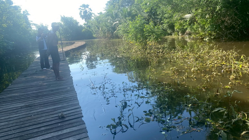 รับแจ้งการระบาดของปลาหมอคางดำ ในพื้นที่อำเภอเมือง จังหวัดพัทลุง 