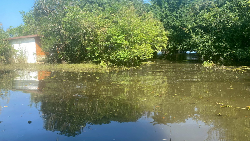 รับแจ้งการระบาดของปลาหมอคางดำ ในพื้นที่อำเภอเมือง จังหวัดพัทลุง..คลิก