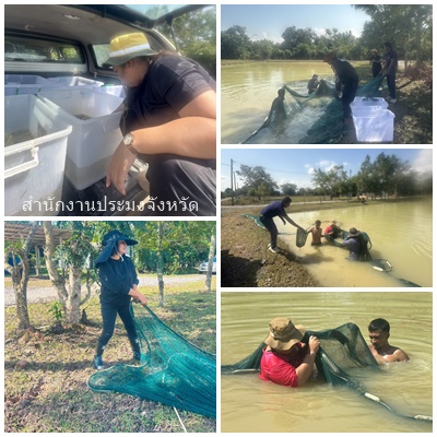 ผลการปฏิบัติงานประจำวันพุธที่ 3 ธันวาคม 2568..คลิก