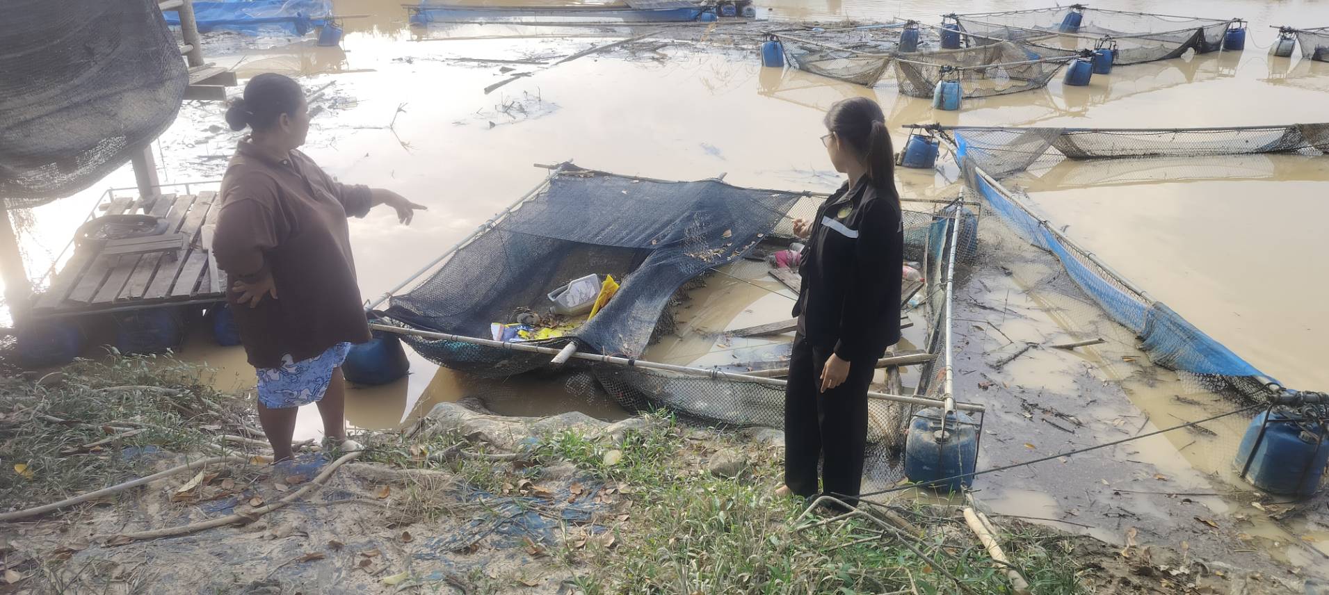 ประมงอำเภอป่าบอน ลงพื้นที่ตรวจสอบความเสียหายของเกษตรกร ผู้เพาะเลี้ยงสัตว์น้ำในกระชัง ตามแบบยื่นความจำนงขอรับความ ช่วยเหลือของเกษตรกรที่ประสบภัยพิบัติ ด้านประมง  จากกรณีฝนตกหนัก บริเวณอ่างเก็บน้ำคลองป่าบอน  ได้รับความเสียหาย จำนวน 11 ราย ความเสียหาย 550 ตร.ม...คลิก