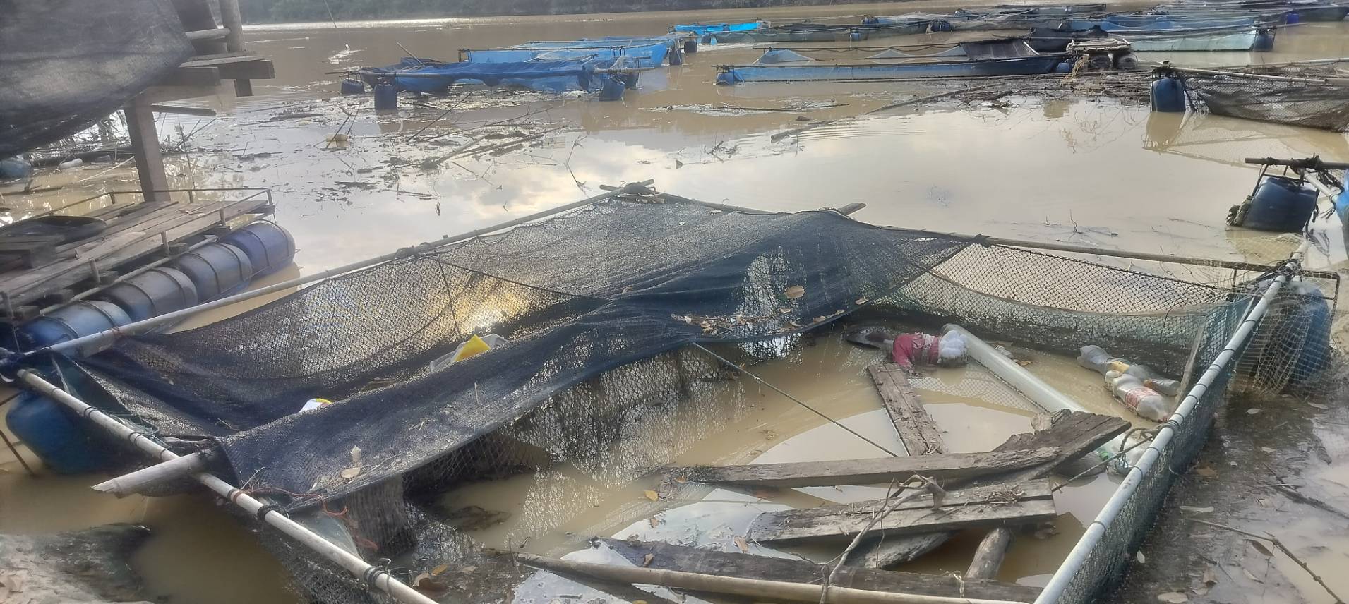 ประมงอำเภอป่าบอน ลงพื้นที่ตรวจสอบความเสียหายของเกษตรกร ผู้เพาะเลี้ยงสัตว์น้ำในกระชัง ตามแบบยื่นความจำนงขอรับความ ช่วยเหลือของเกษตรกรที่ประสบภัยพิบัติ ด้านประมง  จากกรณีฝนตกหนัก บริเวณอ่างเก็บน้ำคลองป่าบอน  ได้รับความเสียหาย จำนวน 11 ราย ความเสียหาย 550 ตร.ม.