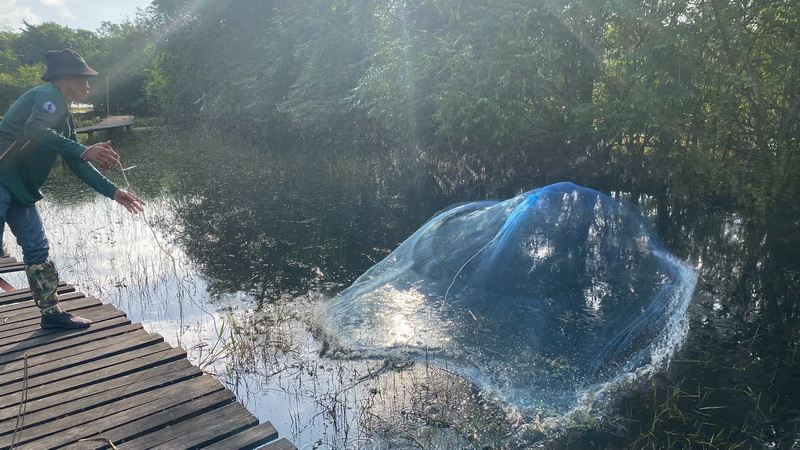 ติดตามผลจากการรับแจ้งการระบาดของปลาหมอคางดำ ในพื้นที่อำเภอเมือง จังหวัดพัทลุง..คลิก