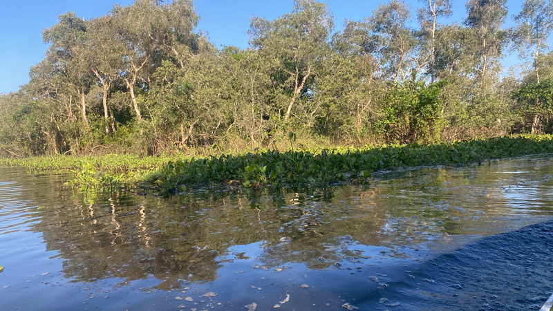 สำรวจการระบาดของปลาหมอคางดำ ในพื้นที่ทะเลน้อย จังหวัดพัทลุง