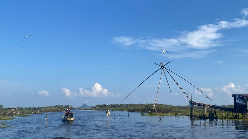 สำรวจการระบาดของปลาหมอคางดำ ในพื้นที่ทะเลน้อย จังหวัดพัทลุง