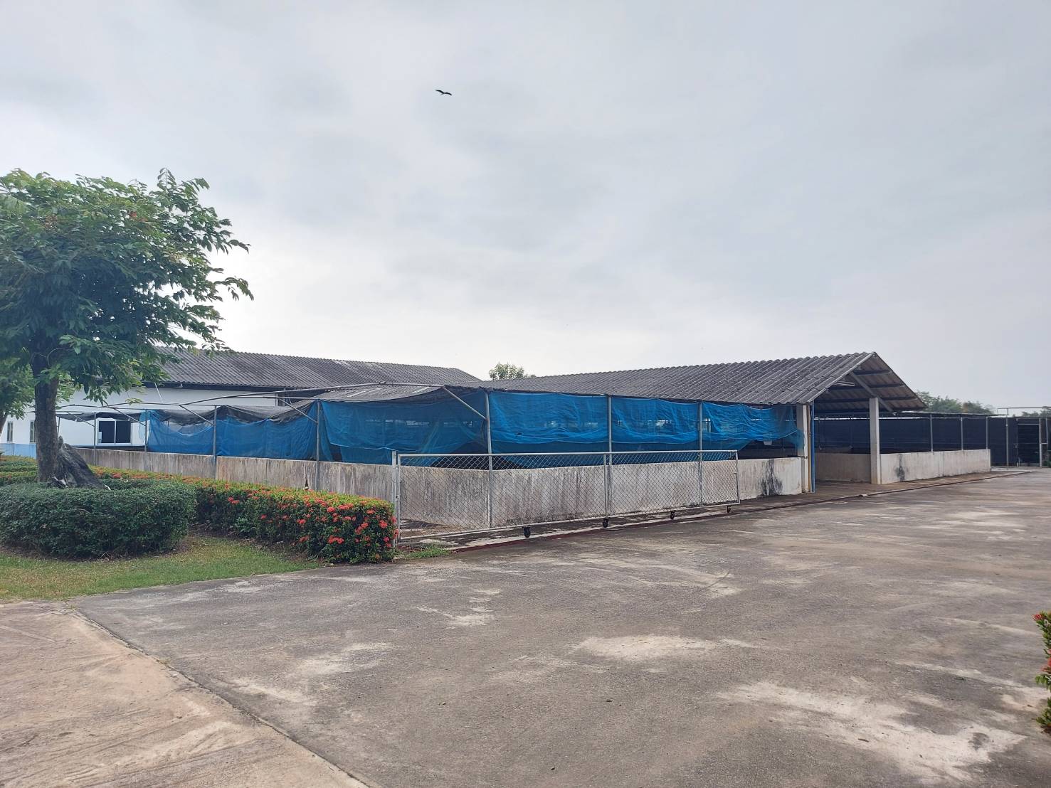 ศปจ.นครสวรรค์ เข้าตรวจโรงเพาะพันธุ์และอนุบาลสัตว์น้ำจืด ศูนย์วิจัยและพัฒนาการเพาะเลี้ยงสัตว์น้ำจืดอุทัยธานี ตามมาตรฐานการปฏิบัติทางการประมงที่ดี (GAP มกษ.7438-2565)