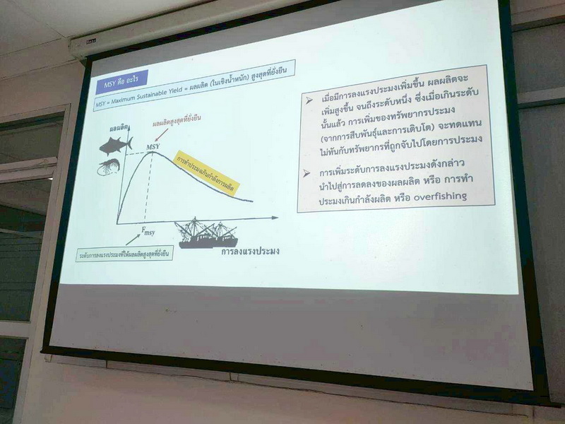 ร่วมการประชุมเพื่อวิเคราะห์ข้อมูลผลจับสัตว์น้ำ และประเมินค่าผลผลิตสูงสุดที่ยั่งยืน (MSY)..คลิก