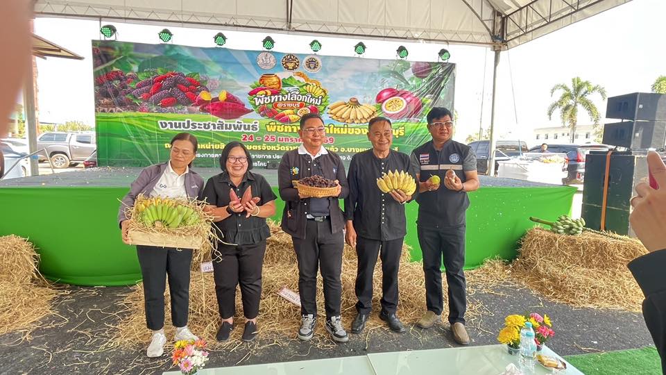 ร่วมงานประชาสัมพันธ์พืชทางเลือกใหม่ของดีราชบุรี โครงการเพิ่มประสิทธิภาพการผลิตสินค้าเกษตรปลอดภัยและสินค้าเกษตรอินทรีย์จังหวัดราชบุรี