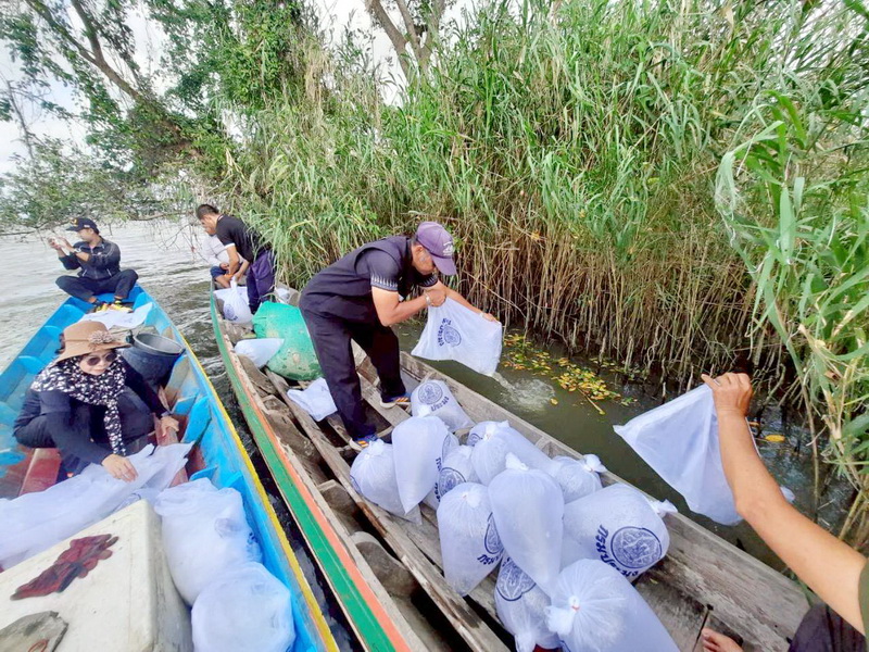 ร่วมปล่อยพันธุ์ปลากินพืช ลงสู่ทะเลสาบสงขลา อ.ปากพะยูน จ.พัทลุง