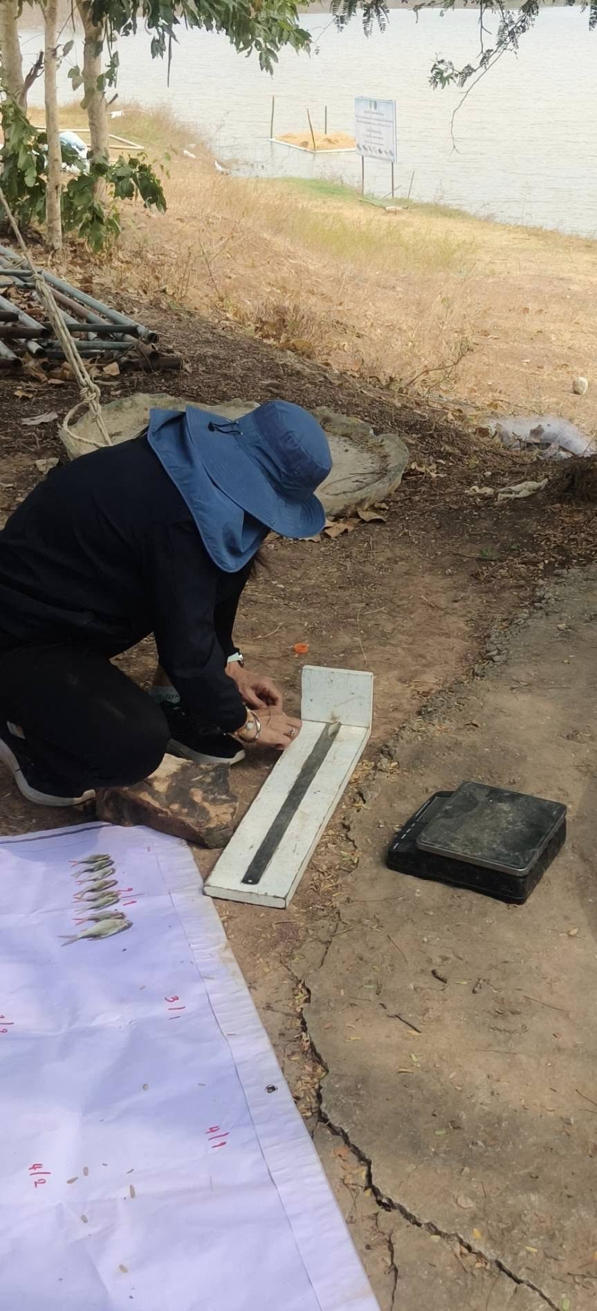 ลงพื้นที่เก็บข้อมูลตามโครงการบริหารจัดการทรัพยากรประมงน้ำจืด..คลิก