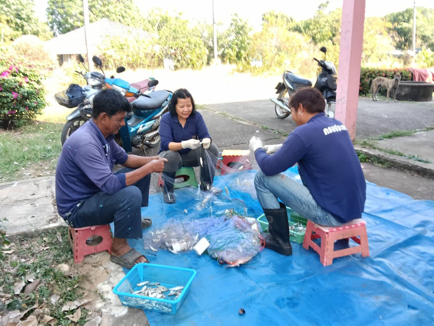 ศปจ.นครสวรรค์ และคณะเจ้าหน้าที่กลุ่มวิชาการ กองวิจัยและพัฒนาประมงน้ำจืด ดำเนินการสำรวจนิเวศทางน้ำและทรัพยากรประมงครั้งที่ 1 ประจำปีงบประมาณ 2569 โครงการวิจัยการศึกษาสภาวะทรัพยากรประมงหลังการบูรณะแหล่งน้ำด้วยการขุดลอก ในพื้นที่บึงบอระเพ็ด จังหวัดนครสวรรค์