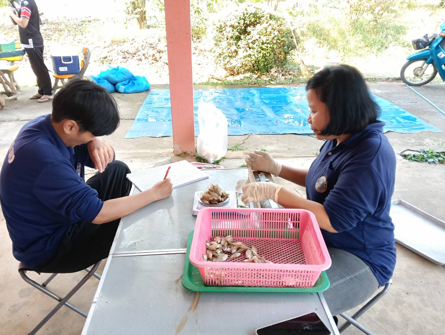 ศปจ.นครสวรรค์ และคณะเจ้าหน้าที่กลุ่มวิชาการ กองวิจัยและพัฒนาประมงน้ำจืด ดำเนินการสำรวจนิเวศทางน้ำและทรัพยากรประมงครั้งที่ 1 ประจำปีงบประมาณ 2569 โครงการวิจัยการศึกษาสภาวะทรัพยากรประมงหลังการบูรณะแหล่งน้ำด้วยการขุดลอก ในพื้นที่บึงบอระเพ็ด จังหวัดนครสวรรค์