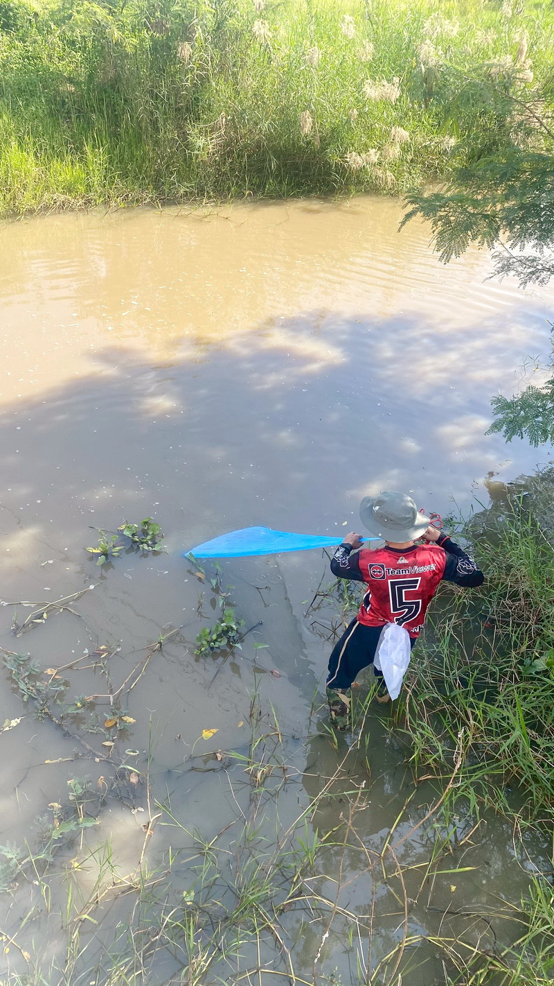 สำรวจการระบาดของปลาหมอคางดำ ในพื้นที่จังหวัดพัทลุง และจังหวัดสงขลา..คลิก