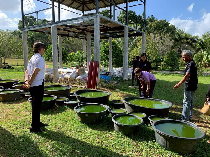 ร่วมลงพื้นที่วิเคราะห์ศักยภาพรายสินค้า โครงการสินค้าเกษตรและบริการมูลค่าสูง 1 ท้องถิ่น 1 สินค้าเกษตรมูลค่าสูง ปี 2569..คลิก