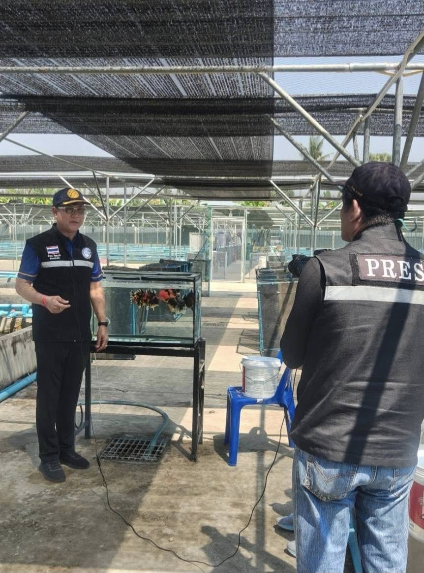 ลงพื้นที่เพื่อนำนักข่าวจังหวัดราชบุรี เข้าเยี่ยมชมฟาร์มเกษตรกรผู้เพาะเลี้ยงปลาทอง..คลิก