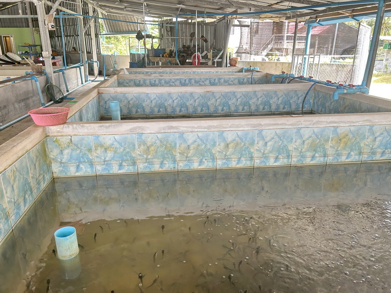 ตรวจประเมินฟาร์มเพาะเลี้ยงสัตว์น้ำ ของเกษตรกรจังหวัดพัทลุง