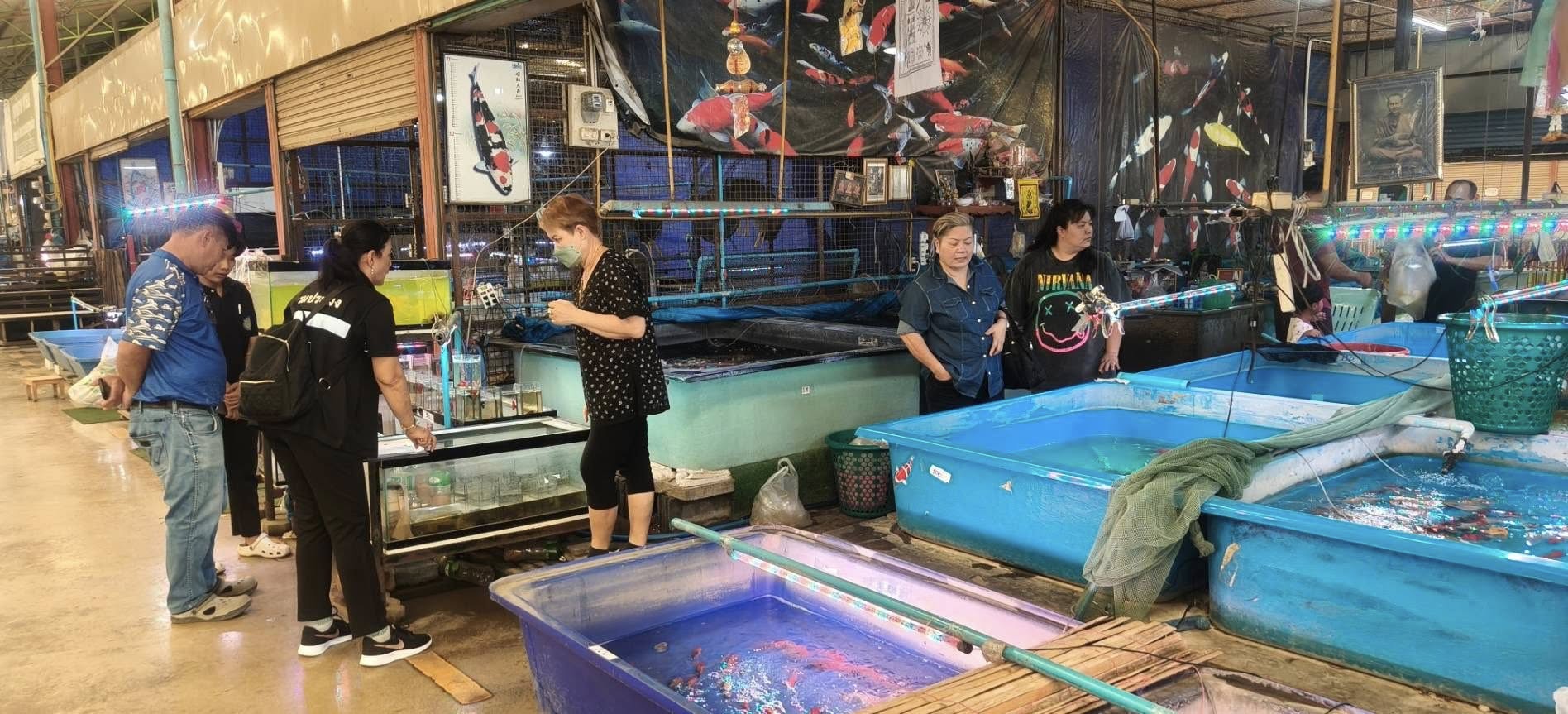 ลงพื้นที่ติดตามและประชาสัมพันธ์การควบคุมและบังคับใช้กฎหมายภายใต้มาตรา 64 และมาตรา 65 แห่งพระราชกำหนดการประมง พ.ศ. 2558 และฉบับแก้ไขเพิ่มเติม พ.ศ.2560 ในพื้นที่อำเภอบ้านโป่ง จังหวัดราชบุรี..คลิก