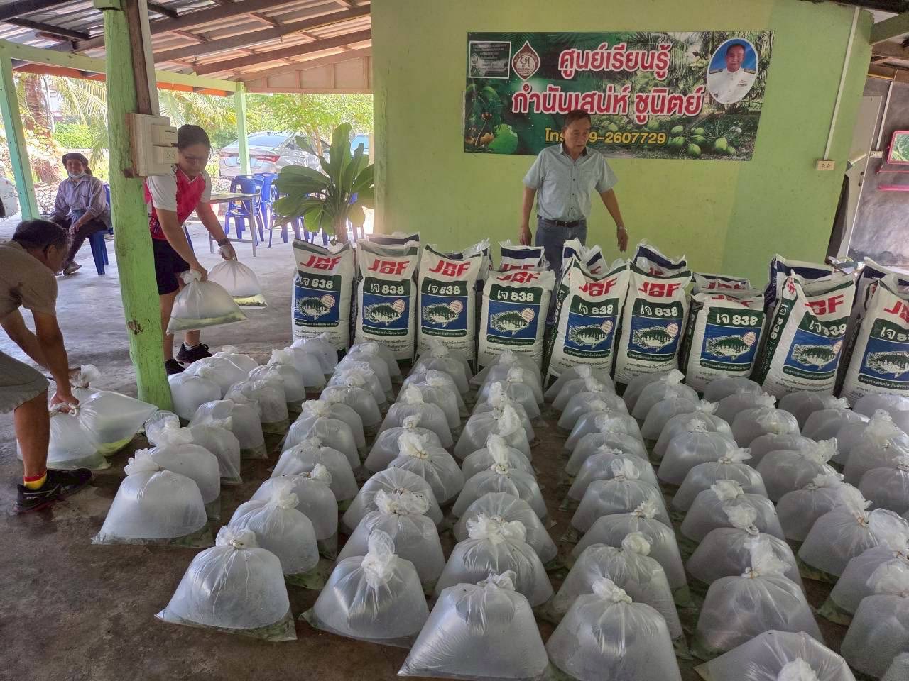 มอบปัจจัยการผลิต อำเภอดำเนินสะดวก