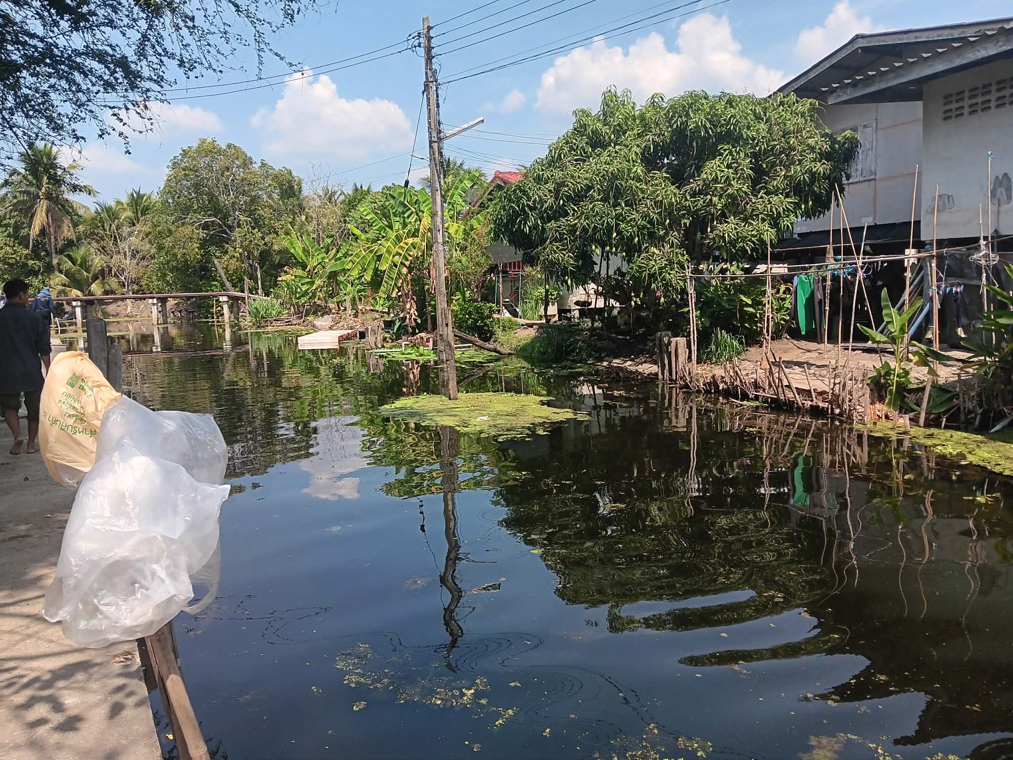 ร่วมทำกิจกรรมลงแขกลงคลองกำจัดปลาหมอคางดำ..คลิก