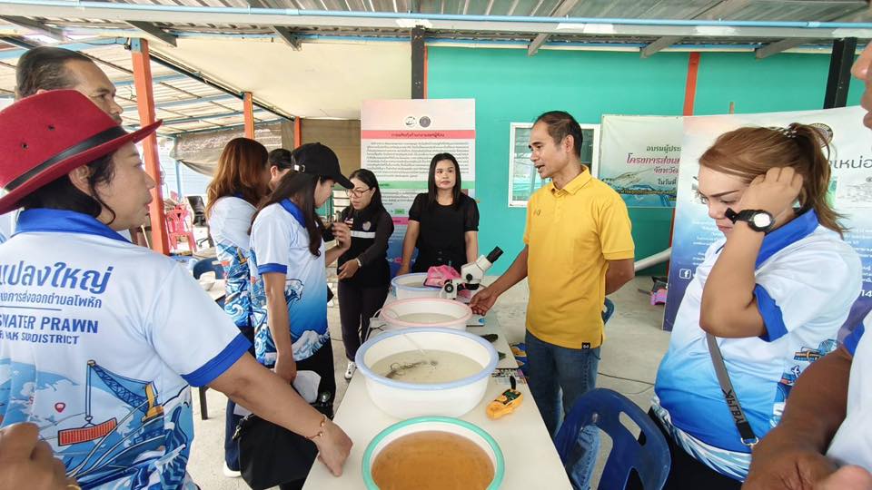 จัดกิจกรรมฝึกอบรมและศึกษาดูงานแก่สมาชิกแปลงใหญ่ผู้เลี้ยงกุ้งก้ามกรามเพื่อการส่งออกตำบลโพหัก..คลิก