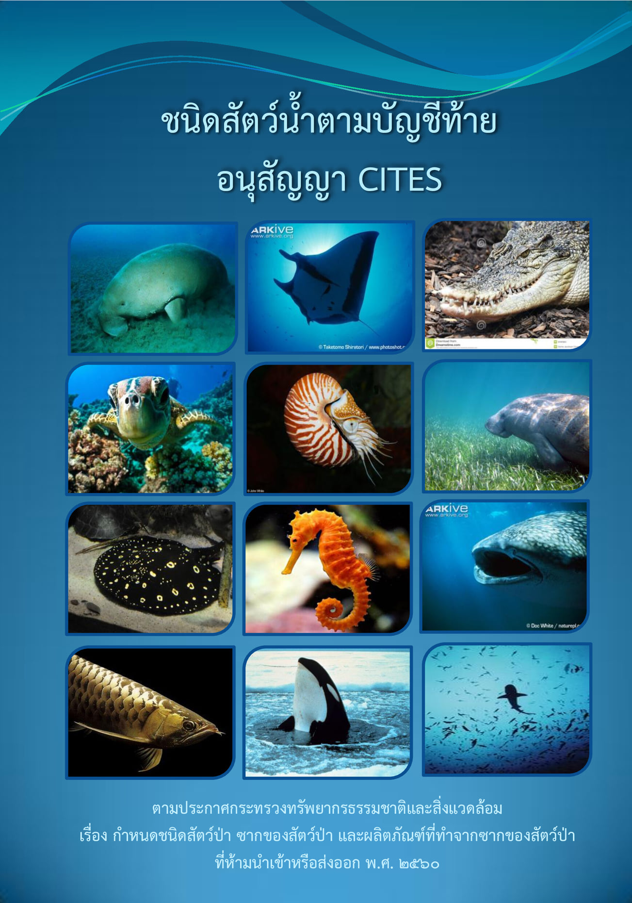 มีตัวไหนอยู่ในลิสต์บ้าง? ?? คู่มือจำแนกสัตว์น้ำตามบัญชี CITES ใครที่เลี้ยงสัตว์น้ำแปลกๆ หรือสะสมพันธุ์ปลาหายาก แนะนำให้เข้าไปเช็กข้อมูลกันครับ จะได้ร่วมกันดูแลและอนุรักษ์อย่างถูกวิธี