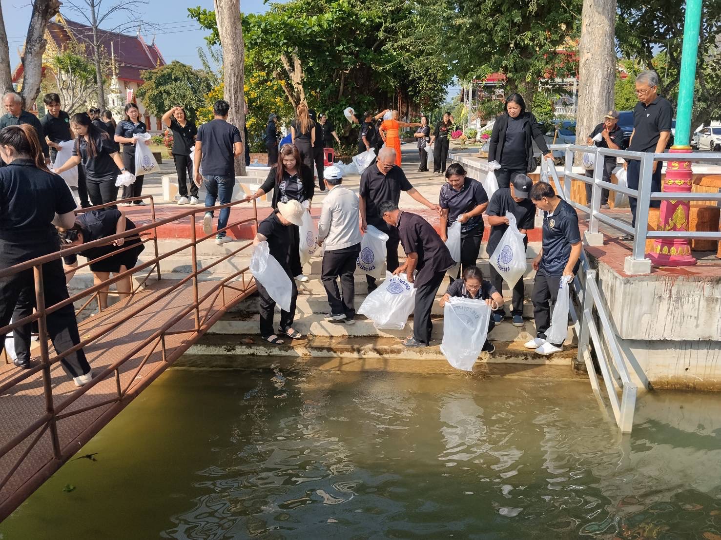 ร่วมกันปล่อยพันธุ์ปลายี่สกไทย..คลิก