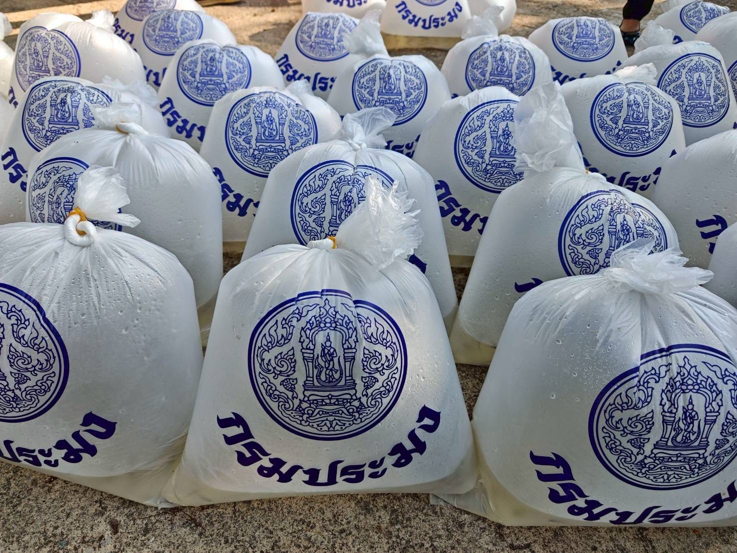 ร่วมกันปล่อยพันธุ์ปลายี่สกไทย