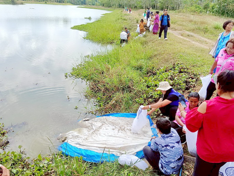 ร่วมปล่อยพันธุ์ปลา ลงสู่แหล่งน้ำหานใหญ่ อ.ป่าพะยอม จ.พัทลุง