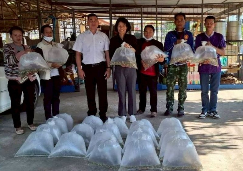 ส่งมอบปัจจัยการผลิต โครงการศูนย์เรียนรู้การเพิ่มประสิทธิภาพการผลิตสินค้าเกษตร กิจกรรมศูนย์เรียนรู้การเพิ่มประสิทธิภาพการผลิตสินค้าประมง ประจำปี 2569..คลิก