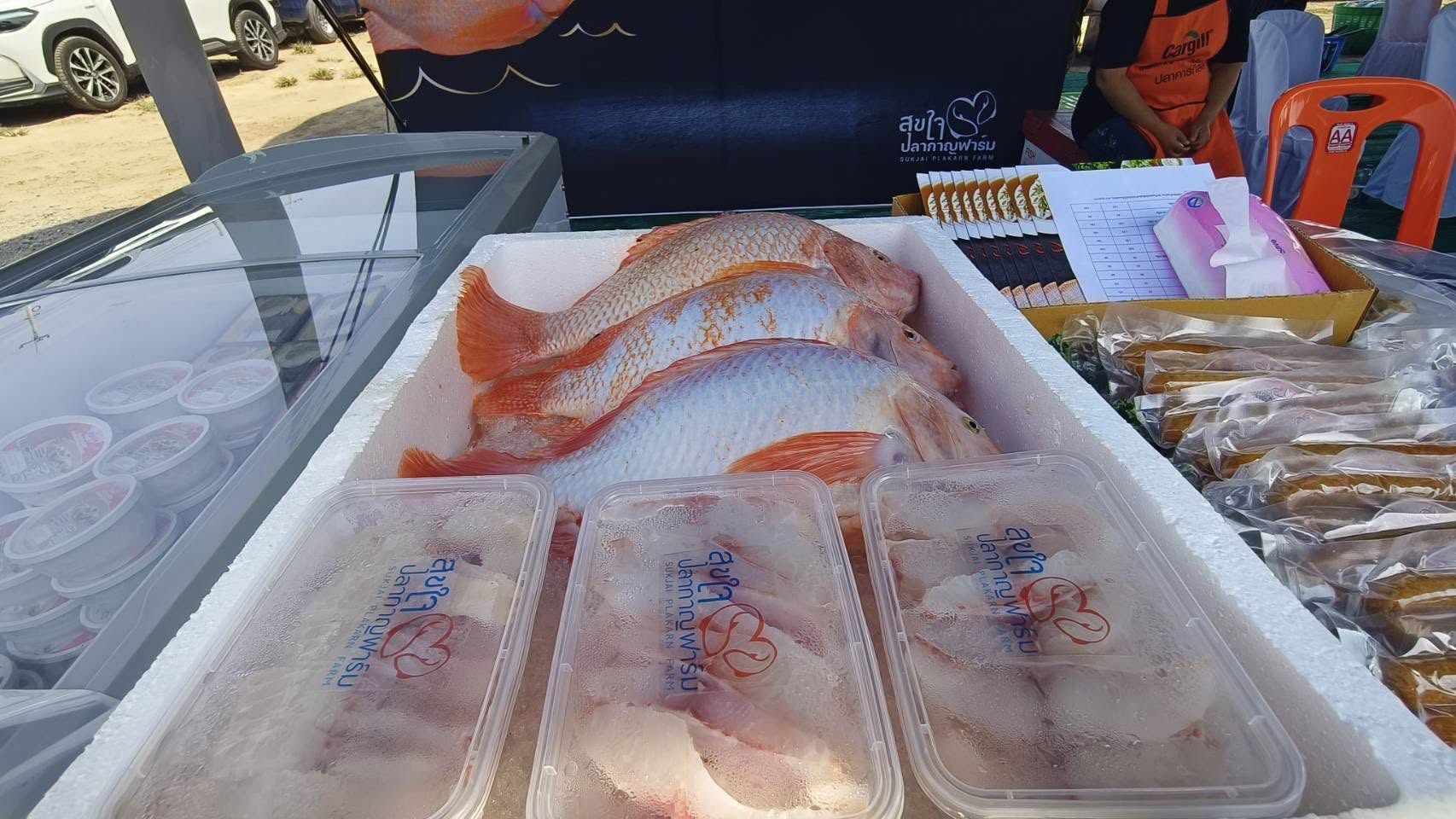 ร่วมจัดกิจกรรมแถลงข่าวและถ่ายทอดองค์ความรู้เกี่ยวกับนวัตกรรม “การขนส่งกุ้งก้ามกรามแบบมีชีวิตโดยไม่ใช้น้ำ”..คลิก