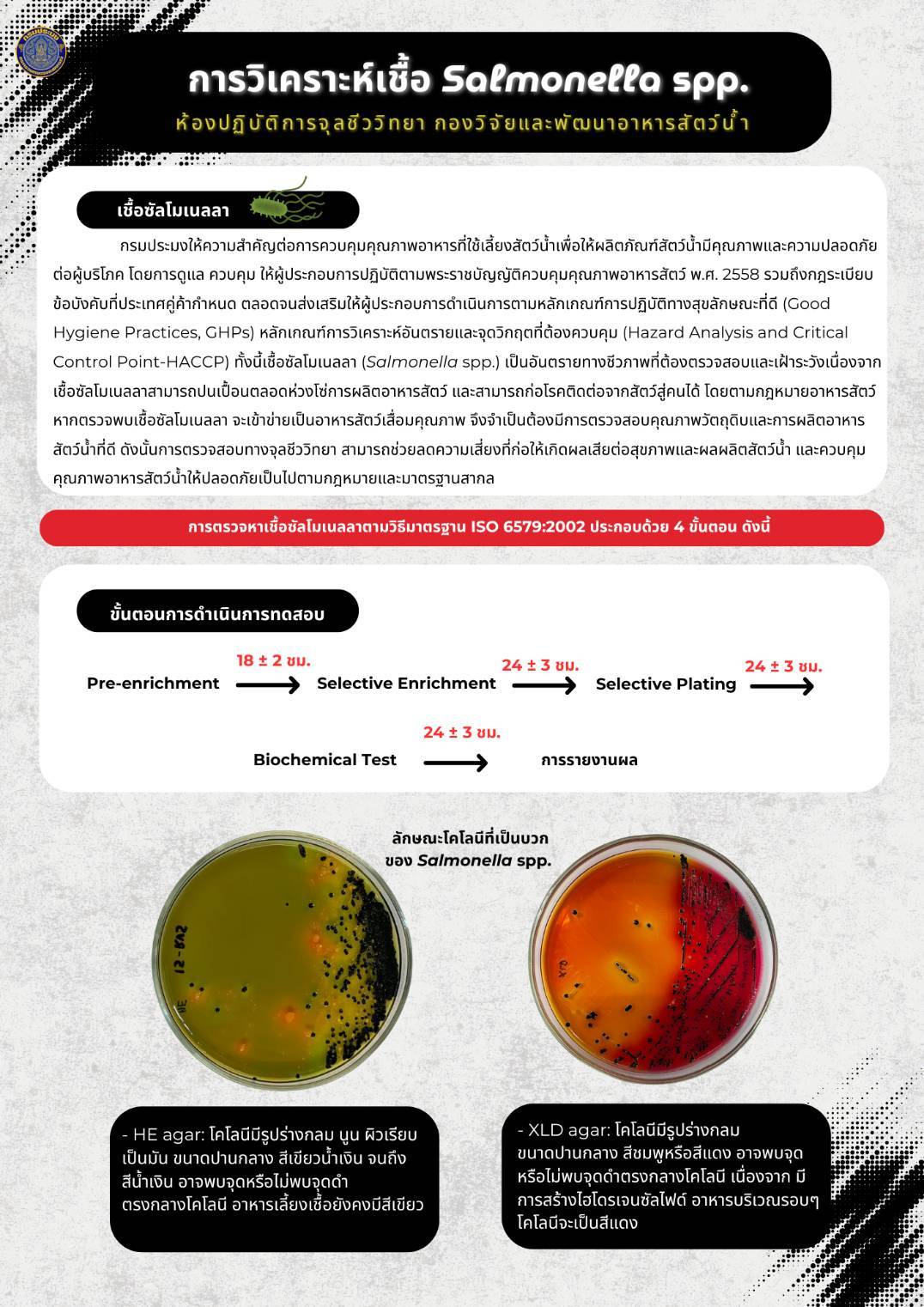 การวิเคราะห์เชื้อ Salmonella spp.  โดย ห้องปฏิบัติการจุลชีววิทยา กองวิจัยและพัมนาอาหารสัตว์น้ำ
