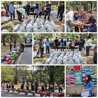 ผลการปฏิบัติงานประจำวันอังคาร ที่ 31 มีนาคม 2569..คลิก